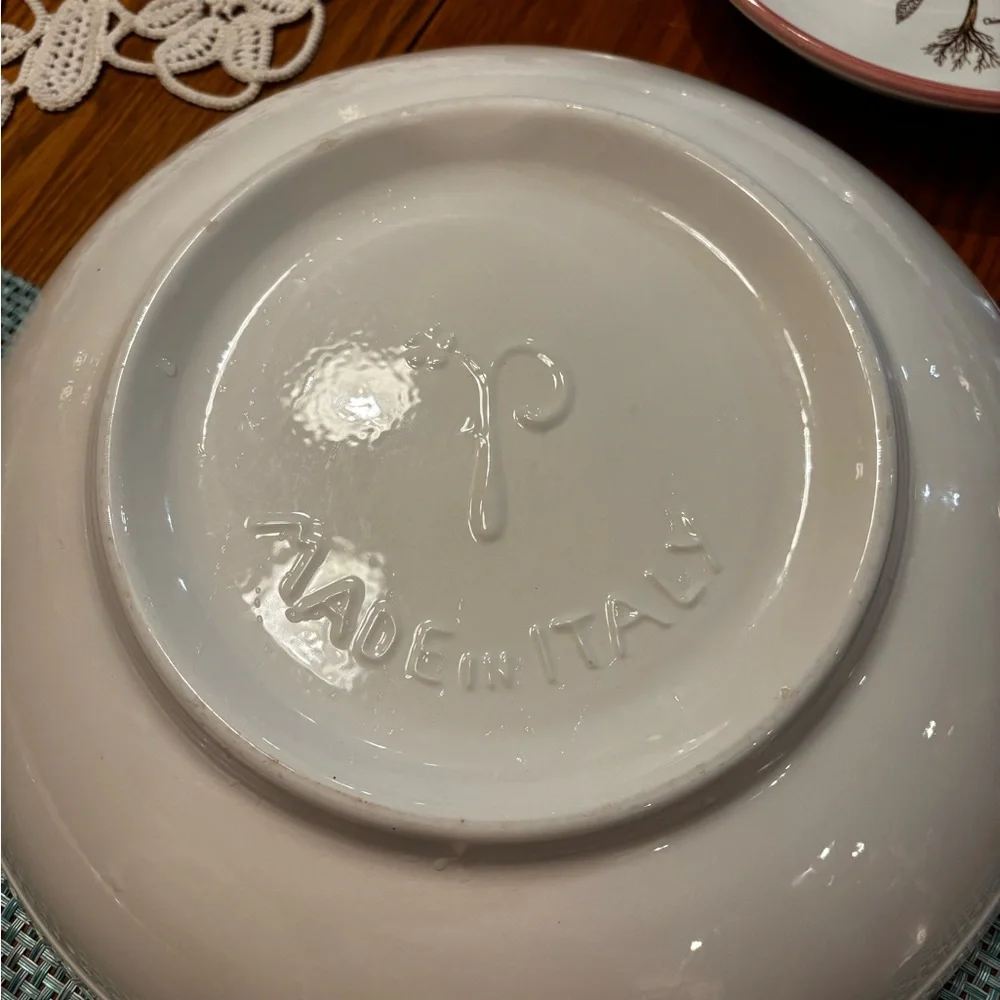 Williams Sonoma Botanical Dinnerware Set with Red Trim
